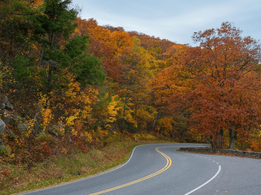 The Best Of Shenandoah National Park