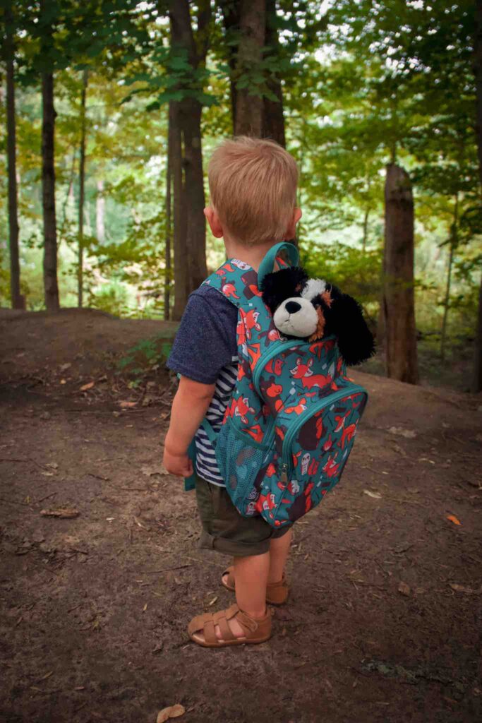 While hiking with toddler, small boy wears own backpack with stuffed animal dog poking out. 