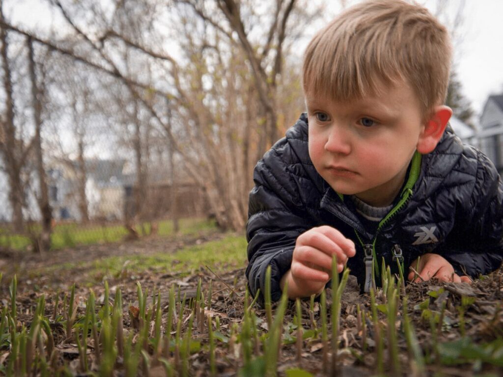 Small boy on spring hike checking out new growth on the ground.