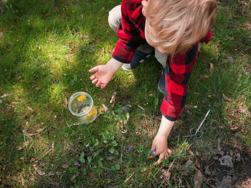 Small boy picks purple flower from yard for a rainbow craft.