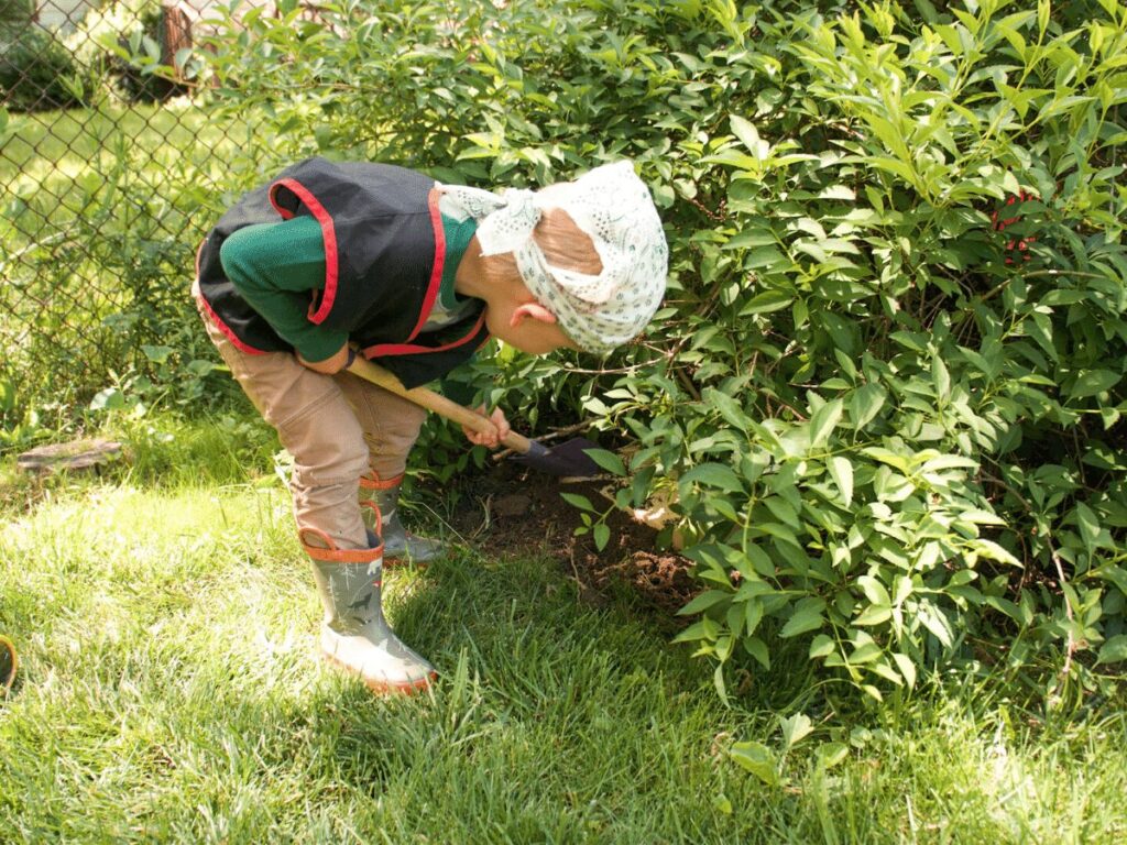 small boy digging under a bush as part of treasure hunt