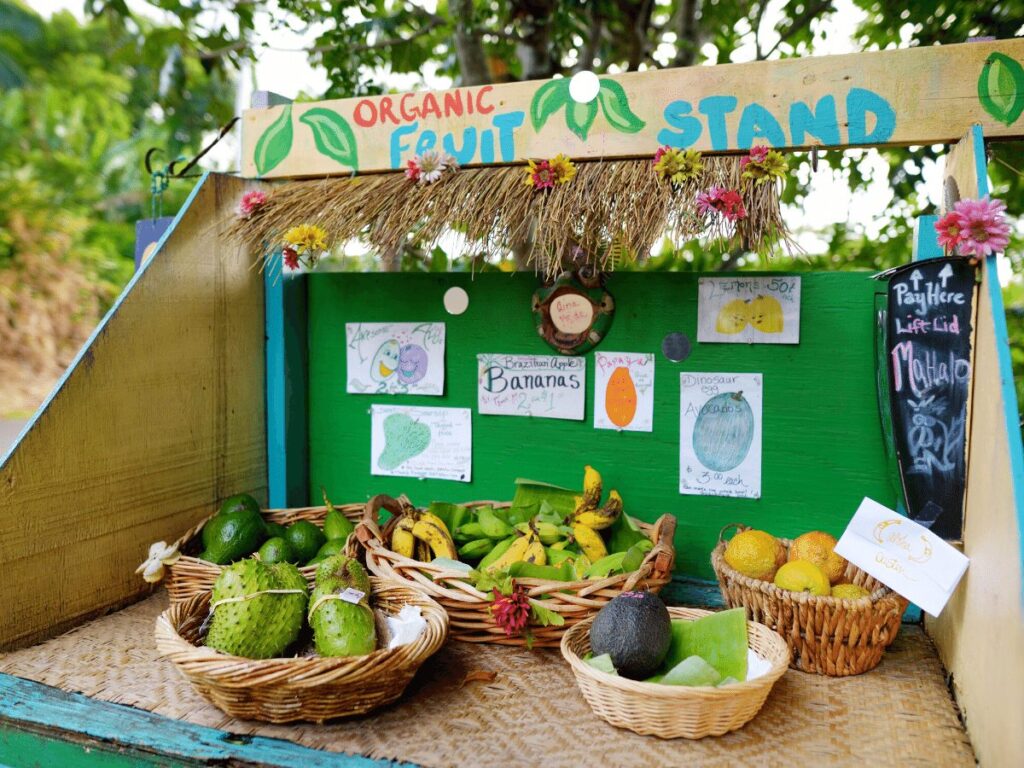 fruit stand- business ideas for kids