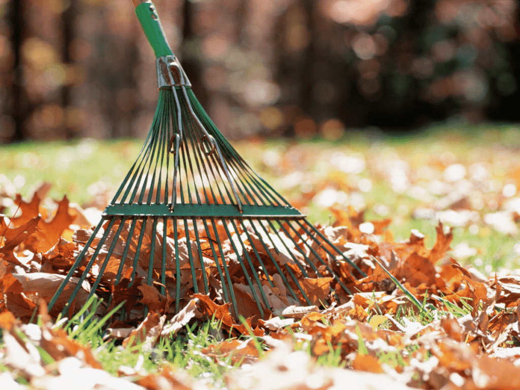 close up of rake and leaves- business ideas for kids