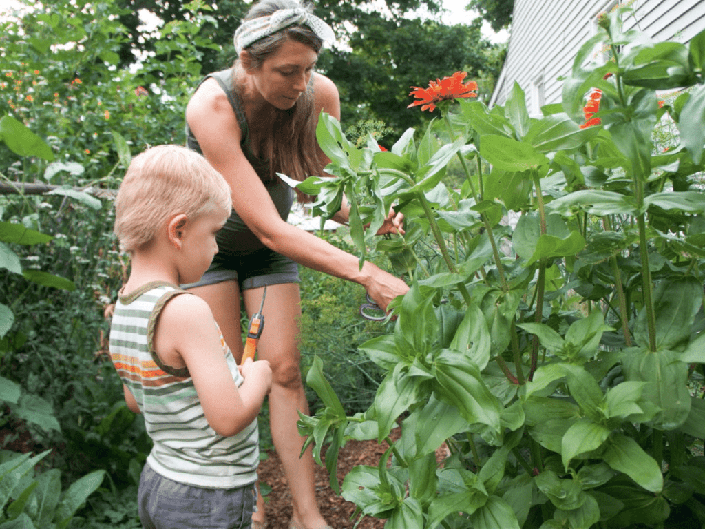 Mom and small boy in the garden cutting flowers for a nature weaving