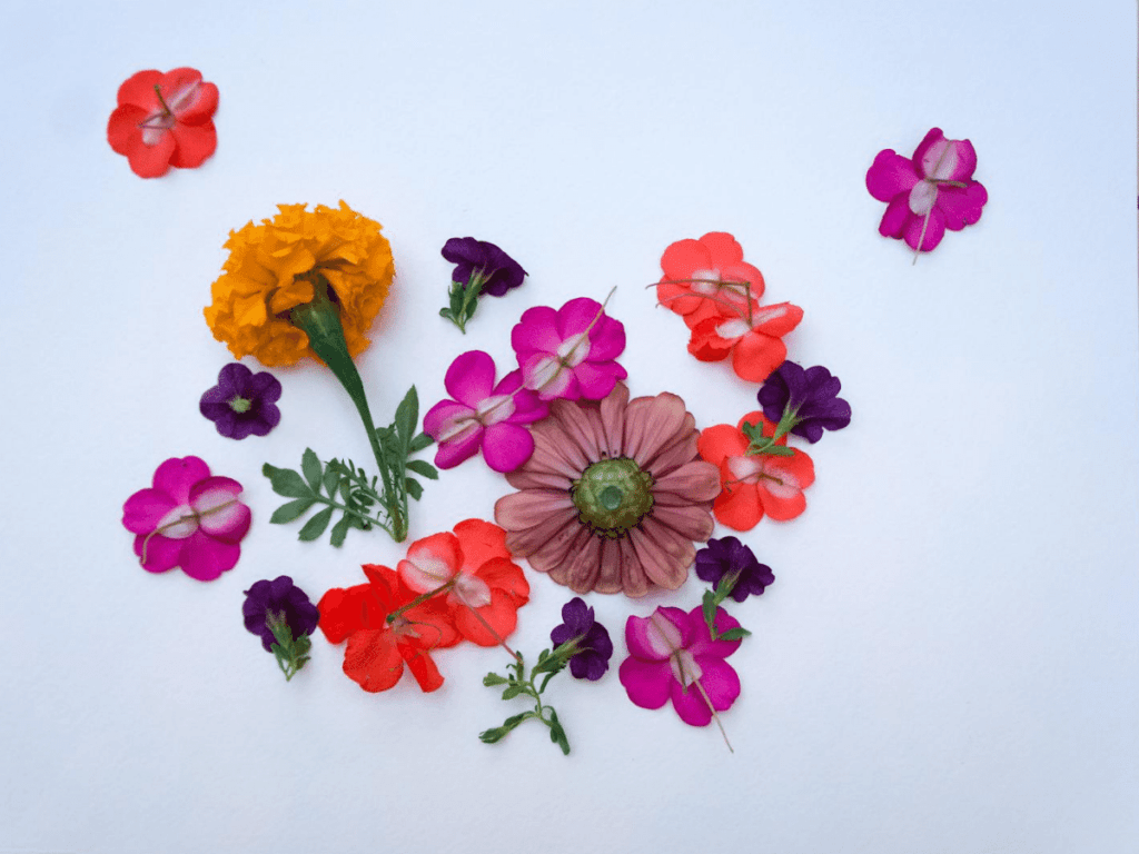 flowers arranged face down on piece of paper- flower crafts