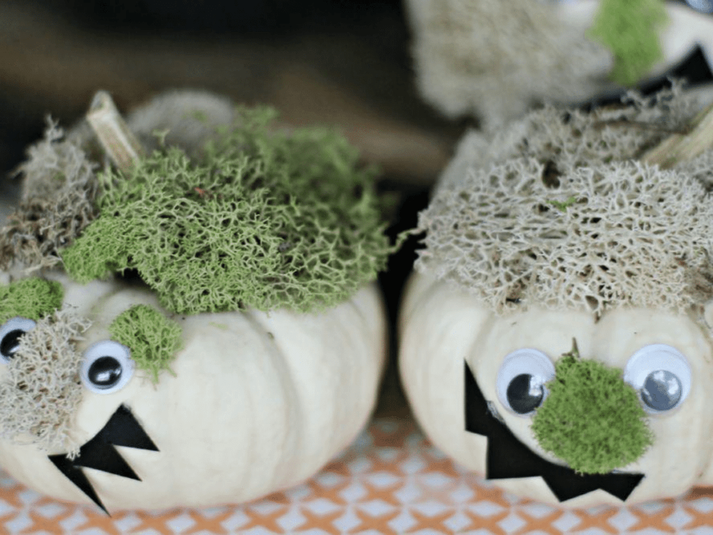 small white pumpkins decorated as silly monsters- pumpkin decorating ideas