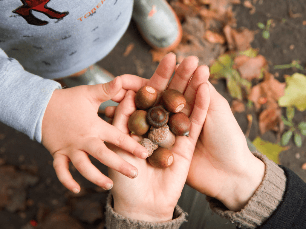fall bucket list, close-up of hands holding acorns