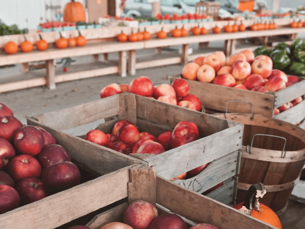 fall bucket list, crates at farmer's market in autumn filled with apples, peppers, and pumpkins
