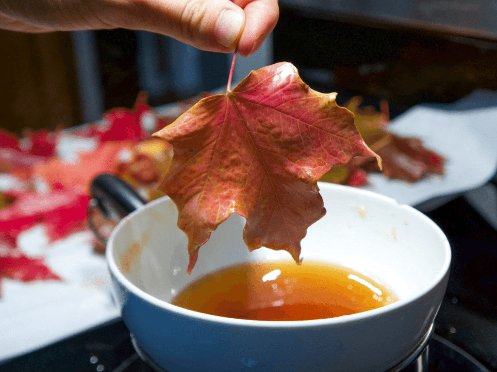 close-up of hand dipping orange maple leaf into bowl of beeswax, fall crafts for kids