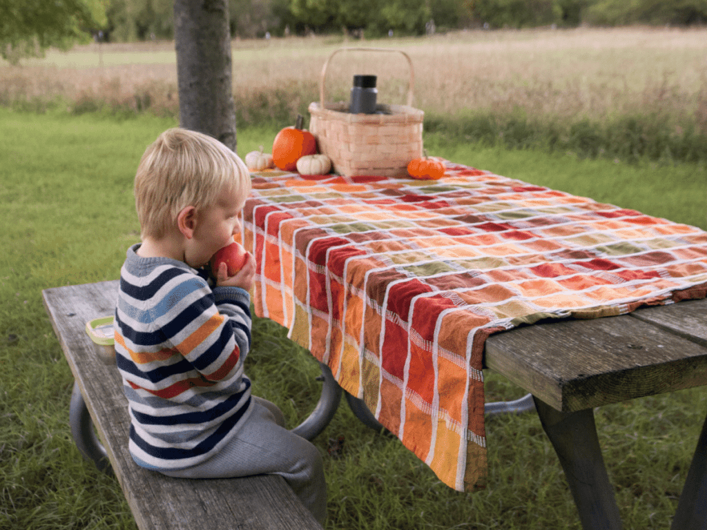 fall bucket list, small boy sitting at picnic table in autumn eating apple