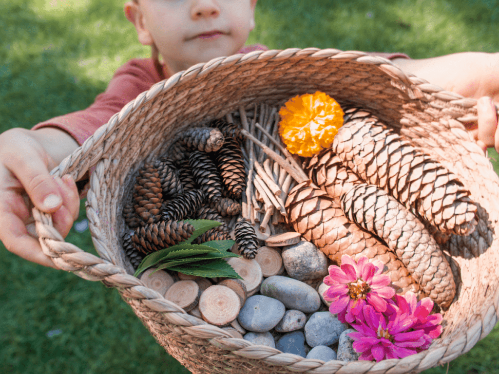 preschool activities, boy holding up basket filled with different nature items