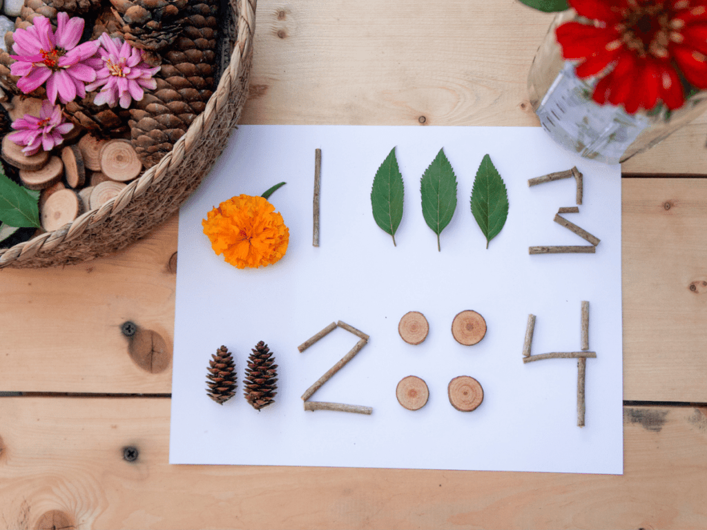 preschool activities, nature objects laid out with numbers next to them