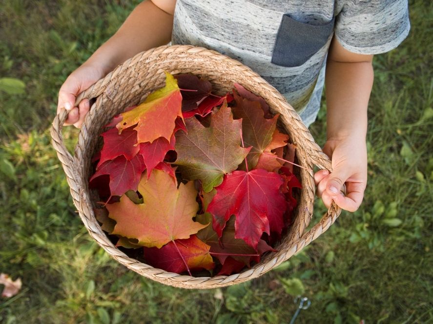 fall activities for kids