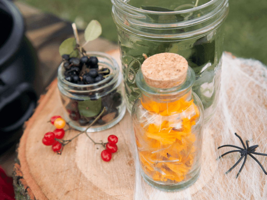 halloween activities for kids, close up of jars filled with nature ingredients for potion mixing