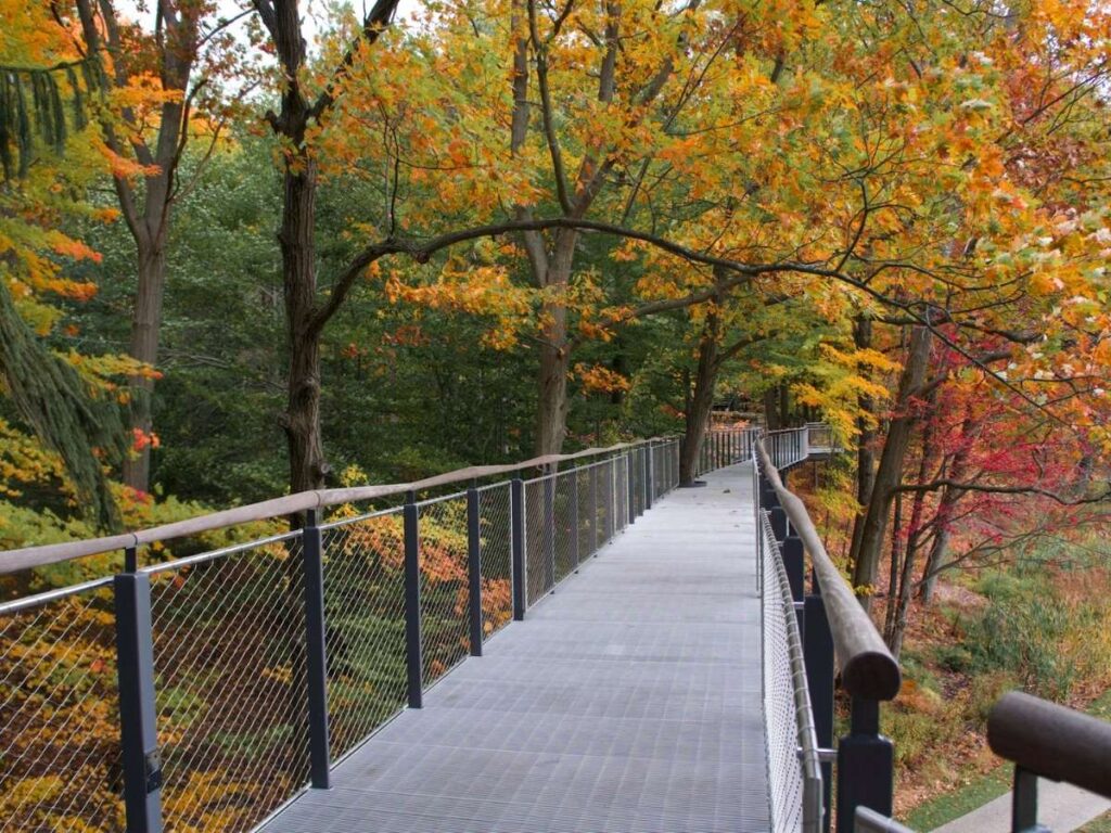 canopy walk bridge at dow gardens