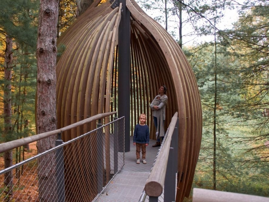 wood pods at dow gardens canopy walk
