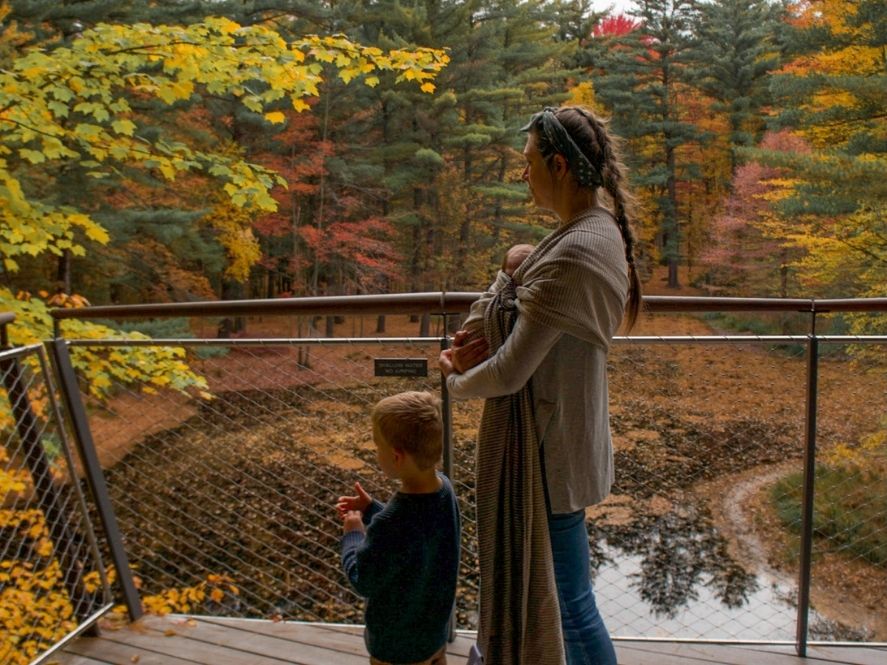 small boy and mother look out at pond and fall foliage from platform in canopy walk of dow gardens