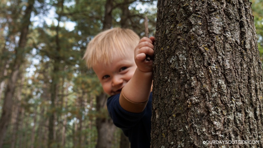 small boy peeking around tree trunk