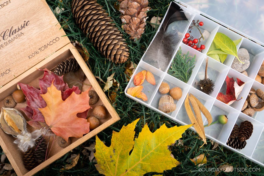 fall nature display including leaves, acorns, and pine cones