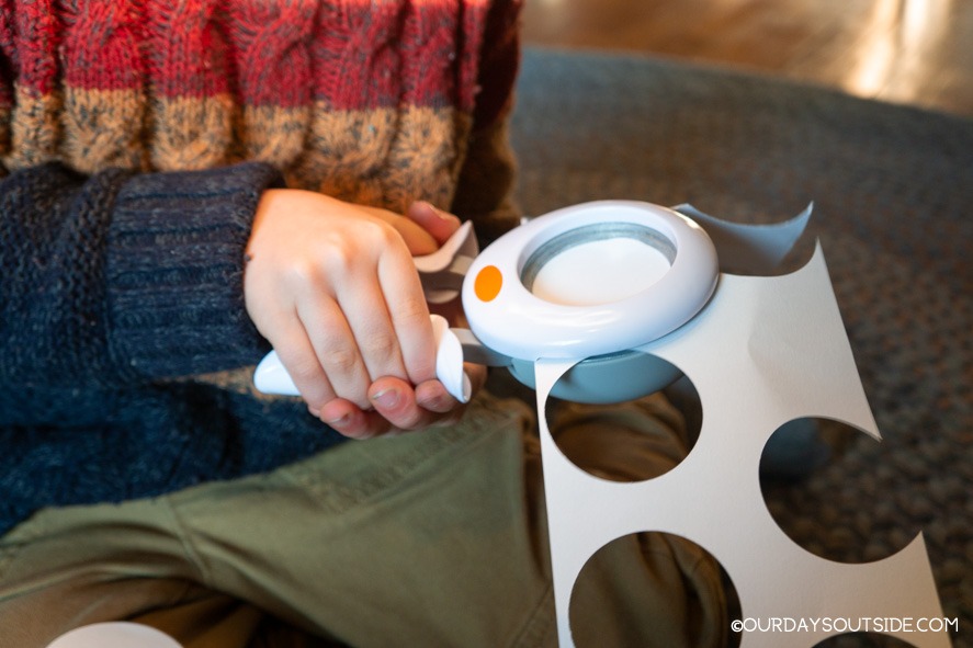 small boy's hands punching out paper circles for Thanksgiving craft