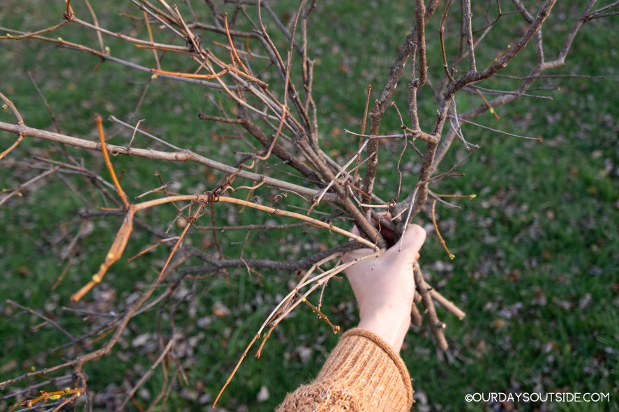 hand holding cluster of sticks for thanksgiving craft