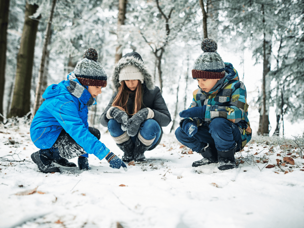 kids looking at animal tracks in snow