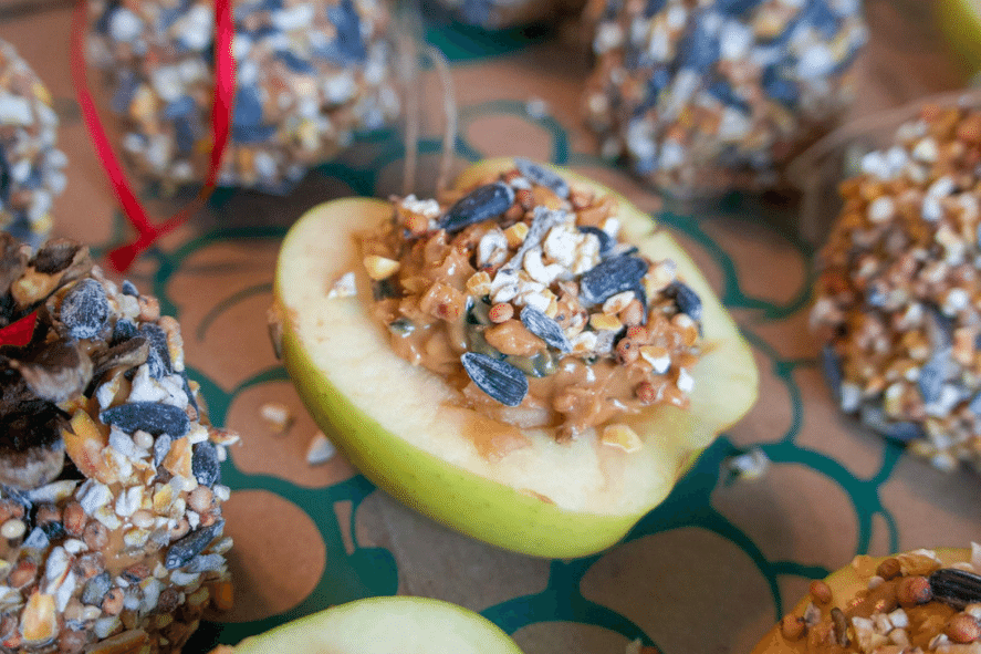 finished apple bird feeder filled with peanut butter and bird seed