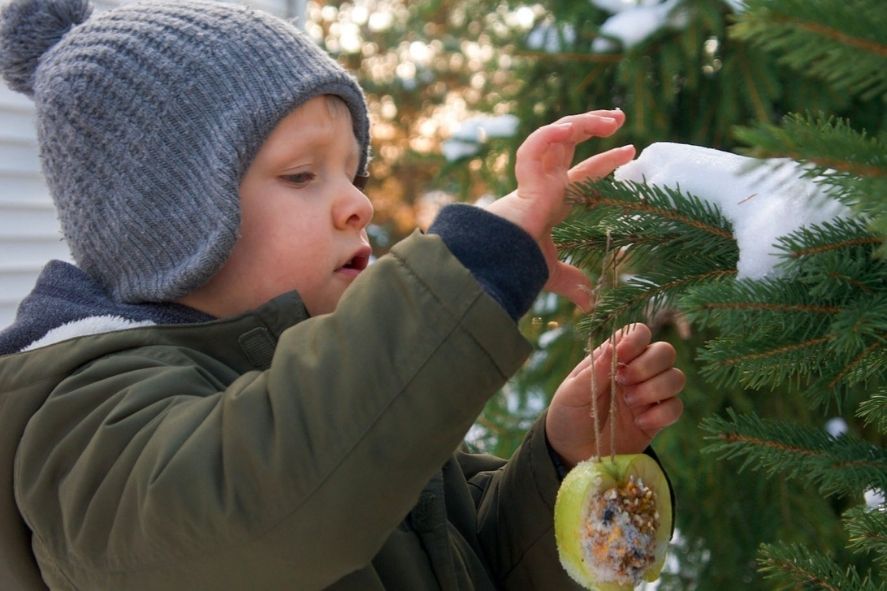 small boy hanging bird feeder on tree