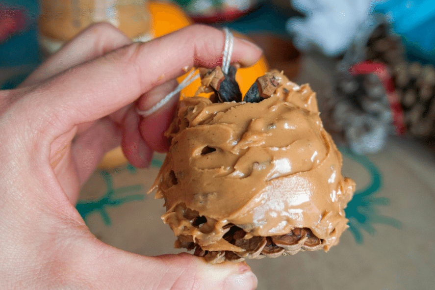 pine cone covered in peanut butter