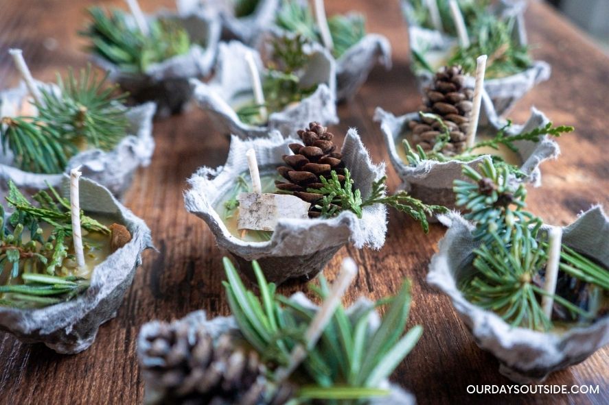 Finished fire starters in egg carton