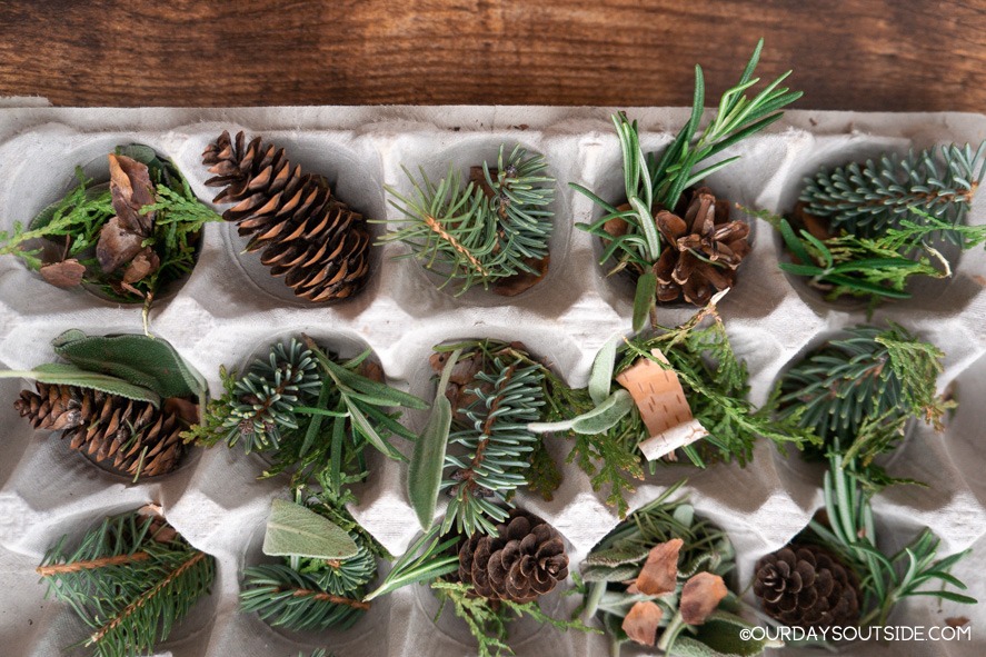 egg carton filled with pine needles and pine cones for DIY fire starters