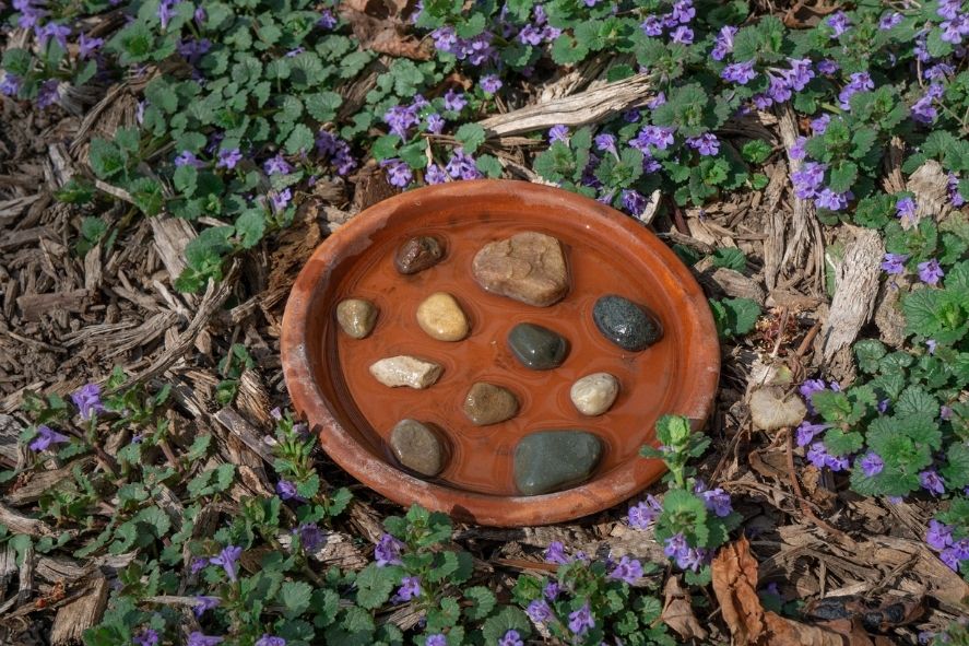 Watering station for a pollinator garden