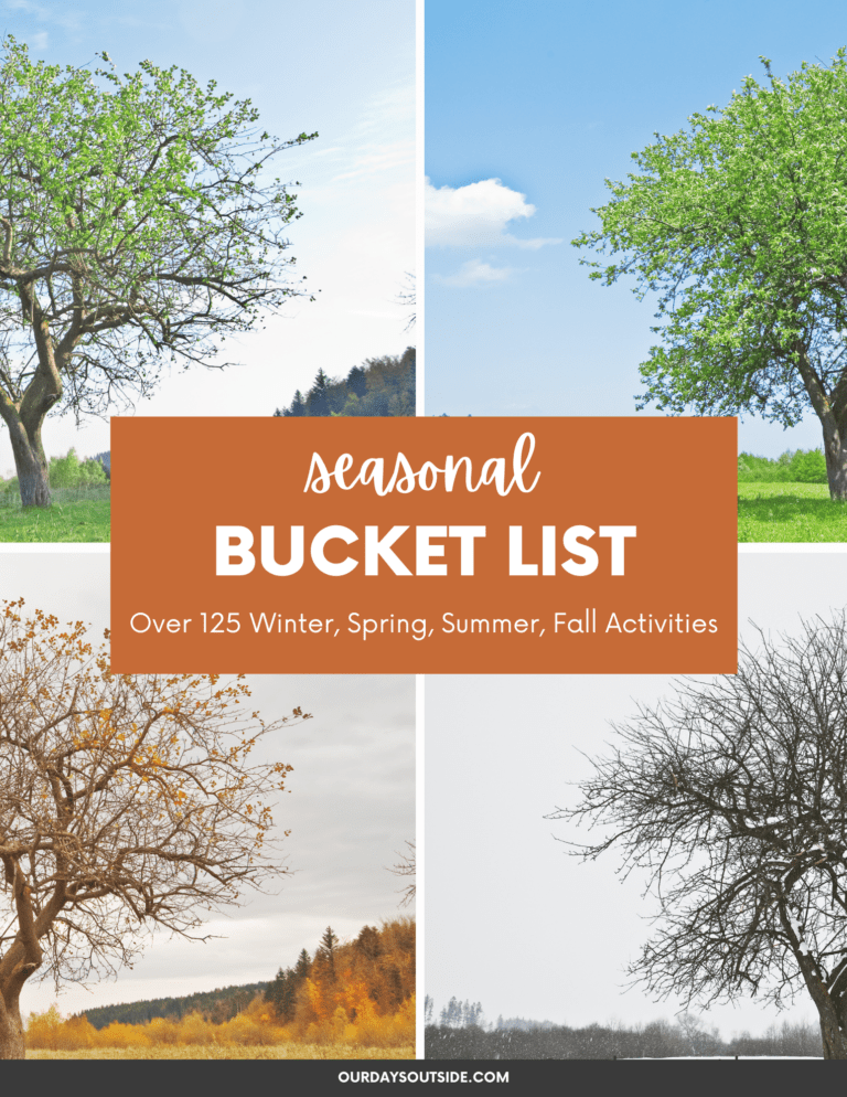 Seasonal Bucket List