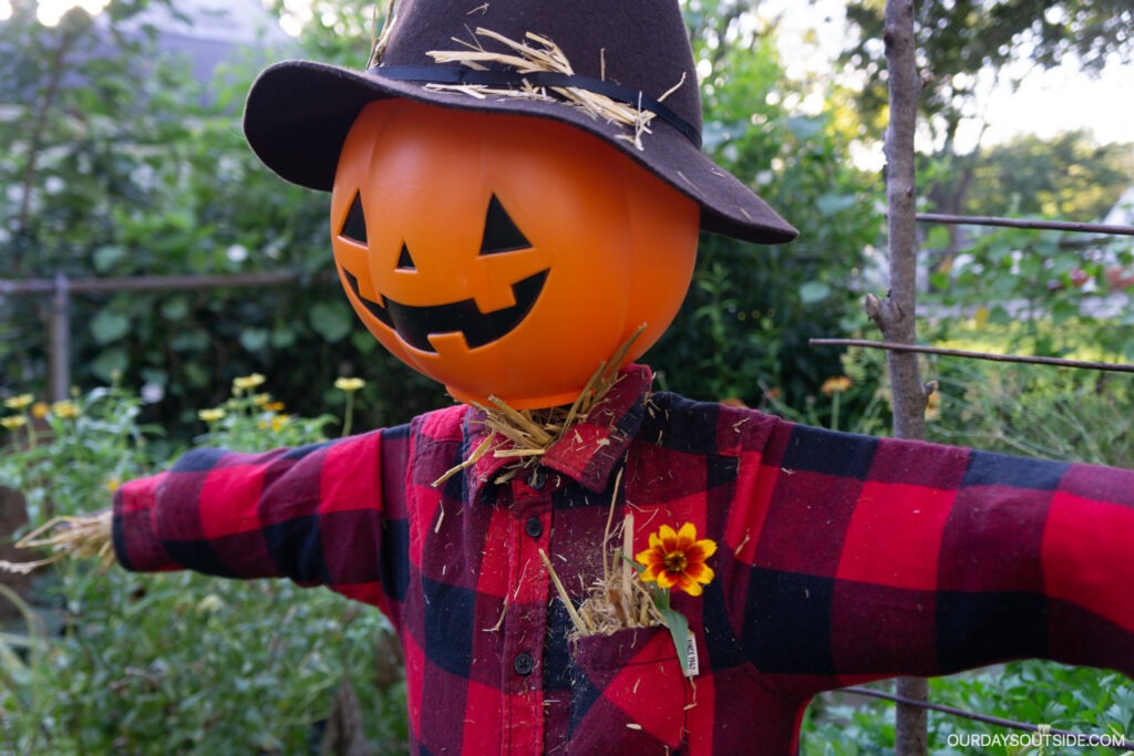 closeup of a diy scarecrow with jack-o-lantern face and red flannel shirt