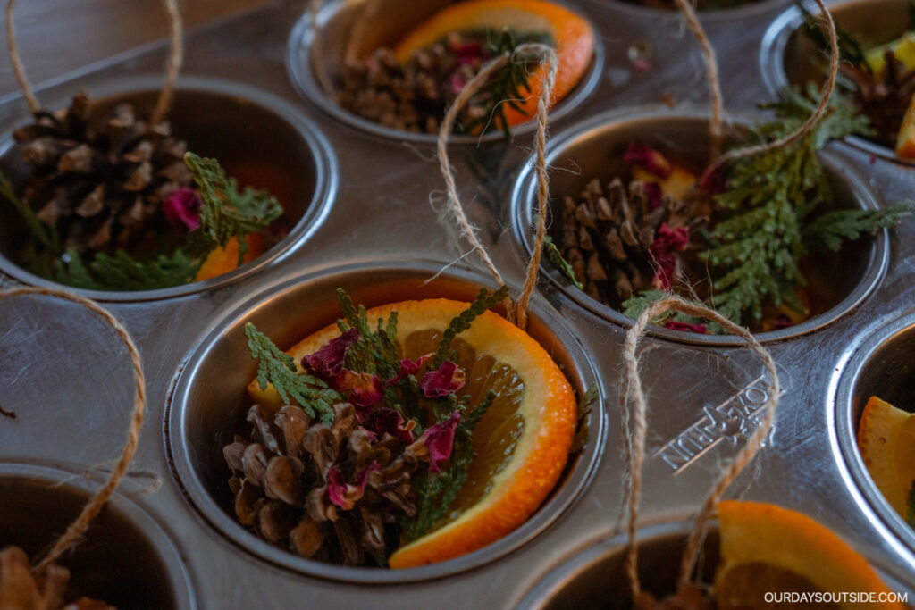 winter crafts: muffin tin filled with orange  slices, evergreen, pinecones, and rose petals to make ice ornaments. 