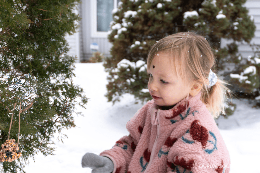 girl hanging up her Valentine's Day bird feeders 
