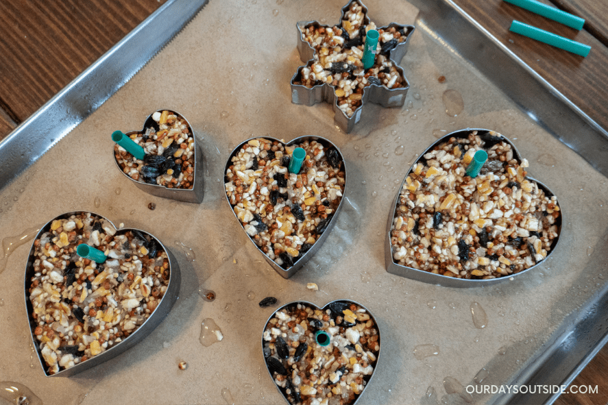 cookie tray with heart shaped Valentine's Day bird feeders displayed
