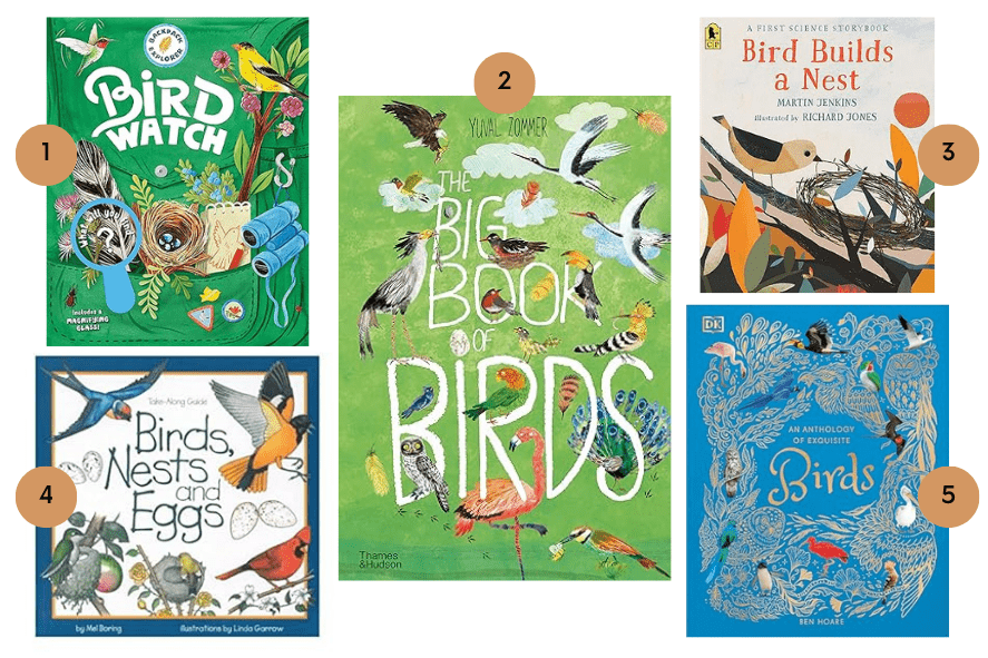 Nature books for kids about birds