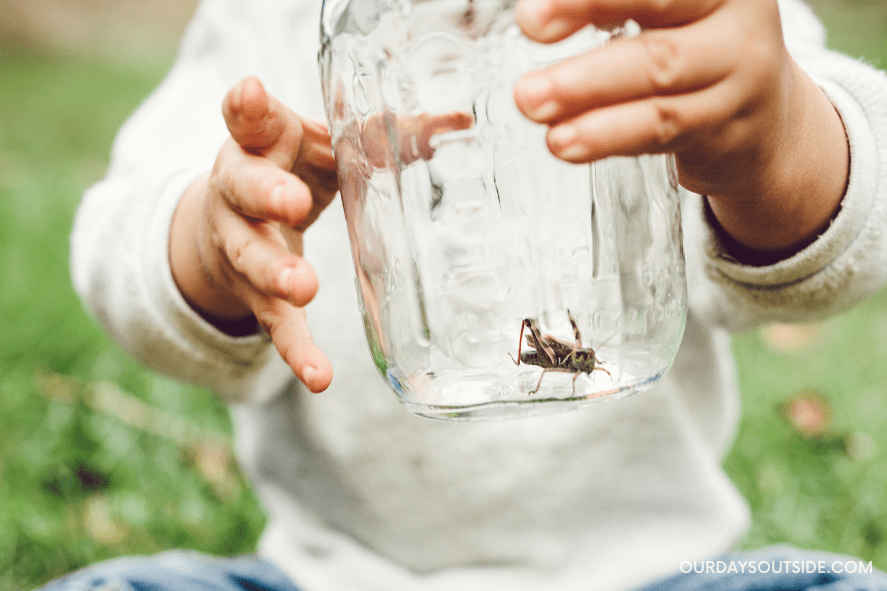 child holding jar with a cricket - nature study ideas