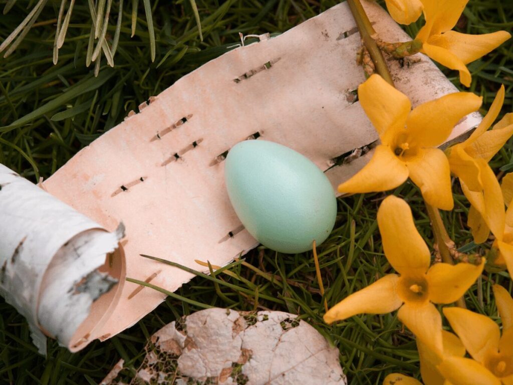 Assortment of nature finds from a spring hike, including yellow forsythia flowers, birch bark, and a robin's egg.