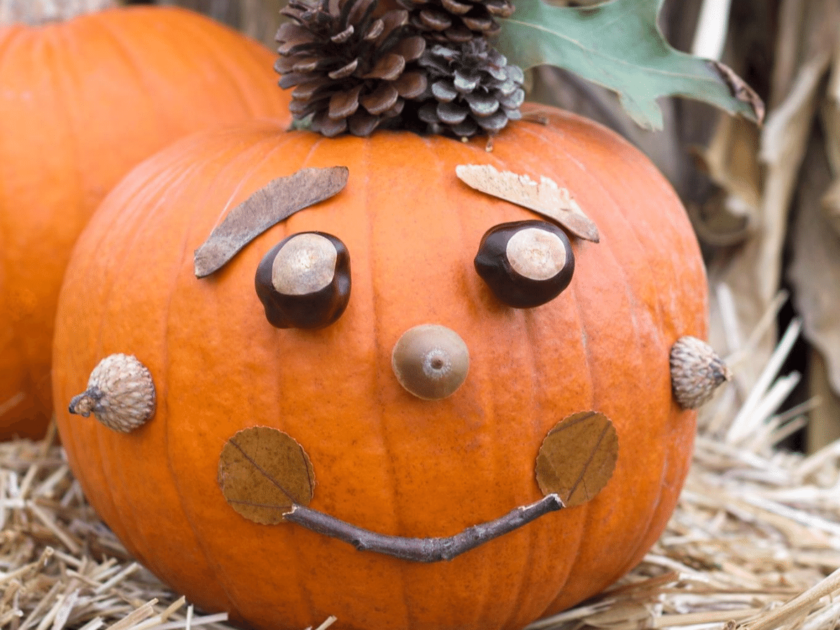 5 Adorable No Carve Pumpkin Ideas - Our Days Outside