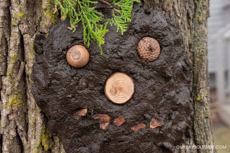 Mud Play: Make these Adorable Tree Faces! - Our Days Outside