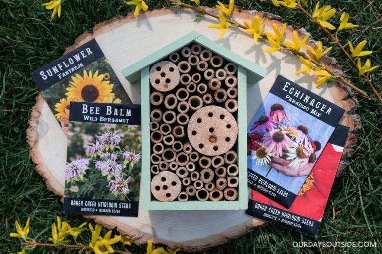 4 Easy Ways to Make a Pollinator Garden with Kids Our Days Outside