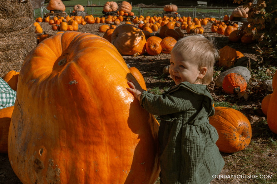 little girl in pumpkin patch - fall activities for kids