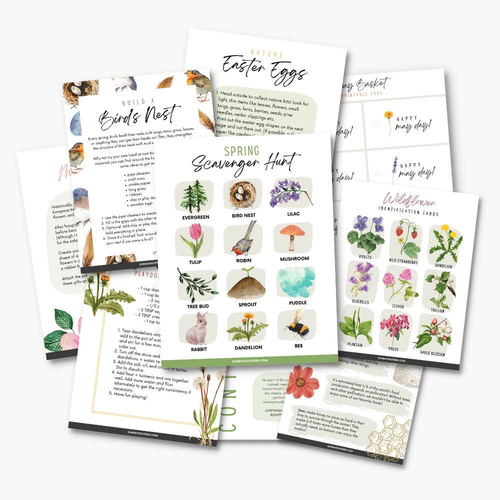 Ultimate Outdoor Kids Bundle - Image 3